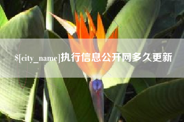 襄垣执行信息公开网多久更新