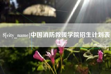 襄垣中国消防救援学院招生计划表