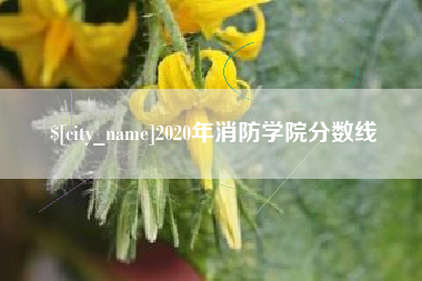 襄垣2020年消防学院分数线
