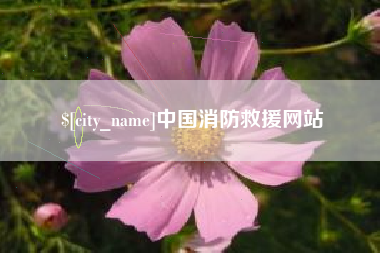 襄垣中国消防救援网站