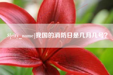 襄垣我国的消防日是几月几号？