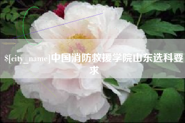 襄垣中国消防救援学院山东选科要求