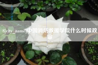 襄垣中国消防救援学院什么时候政审