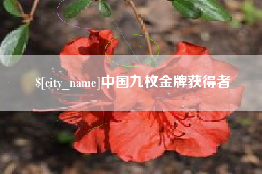 襄垣中国九枚金牌获得者