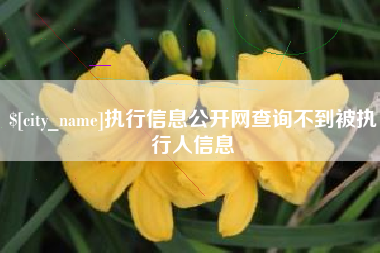 襄垣执行信息公开网查询不到被执行人信息