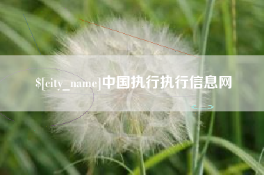 襄垣中国执行执行信息网