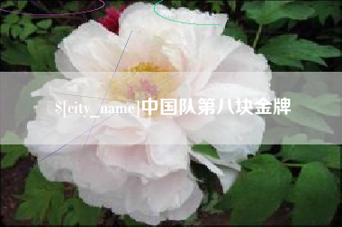 襄垣中国队第八块金牌