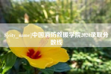 襄垣中国消防救援学院2021录取分数线