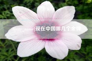 襄垣现在中国哪几个金牌