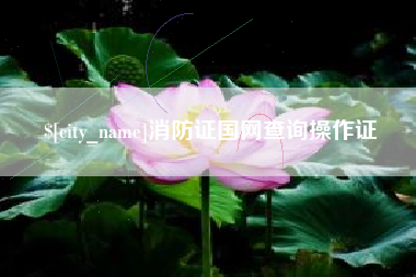 襄垣消防证国网查询操作证