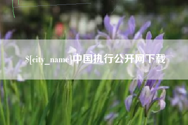 襄垣中国执行公开网下载
