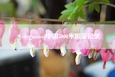 襄垣中国5000米国家记录