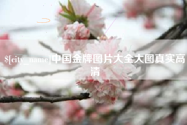 襄垣中国金牌图片大全大图真实高清