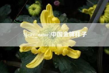 襄垣中国金牌样子