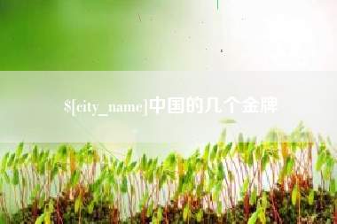 襄垣中国的几个金牌