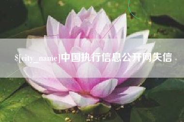 襄垣中国执行信息公开网失信
