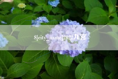 襄垣2022九宫