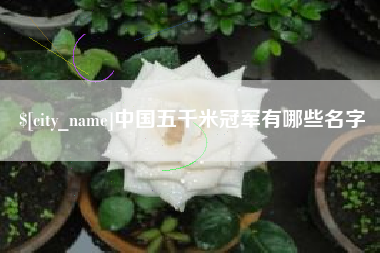 襄垣中国五千米冠军有哪些名字