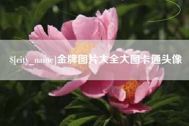 襄垣金牌图片大全大图卡通头像