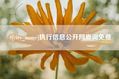 襄垣执行信息公开网查询免费