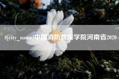 襄垣中国消防救援学院河南省2020